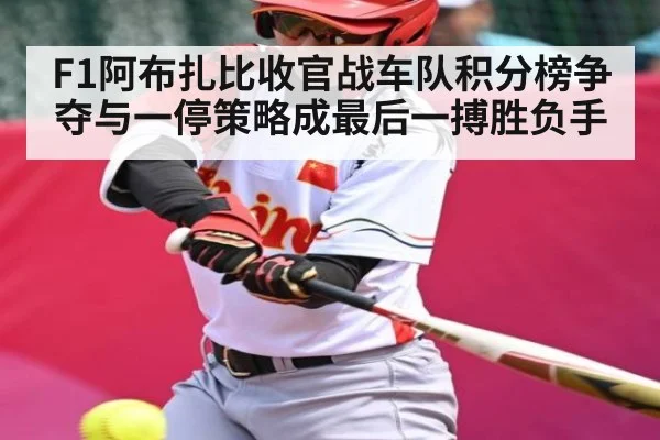 F1阿布扎比收官战车队积分榜争夺与一停策略成最后一搏胜负手 - NG28
